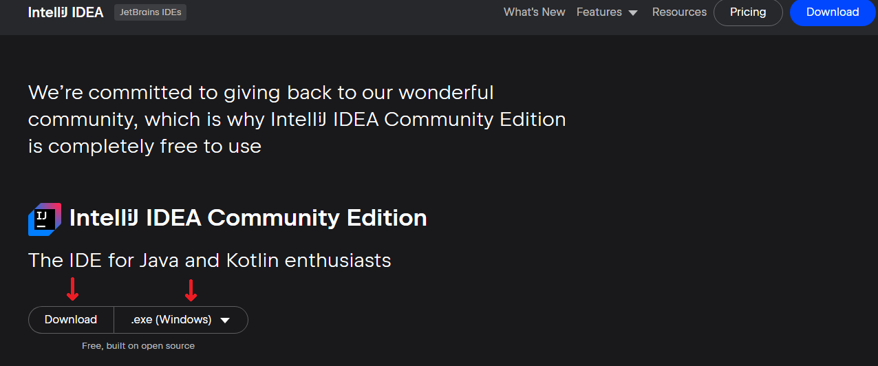 Download IntelliJ